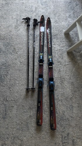 Dynastar vector carbon - dynastar, 3.1