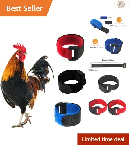 Crow rooster collars - no,