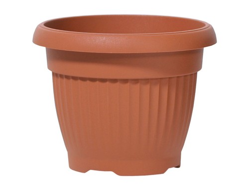 Pot terra terre - pot, cuite