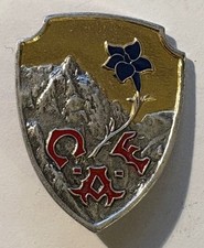 INSIGNE SKI MONTAGNE : CLUB ALPIN FRANCAIS. METAL EPAIS