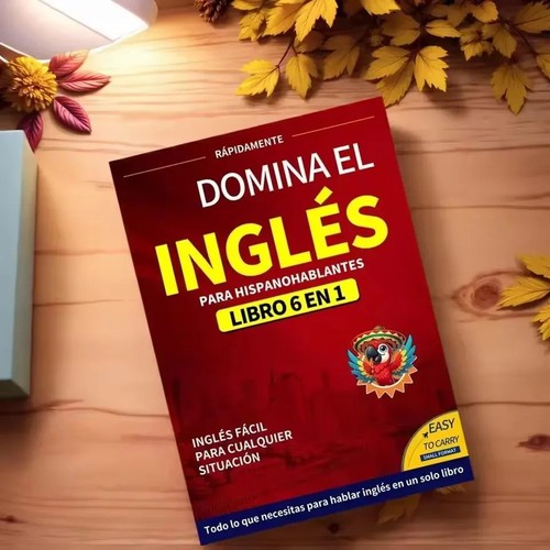 Livre anglais débutant 1 - livre,
