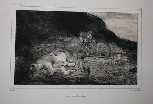 Barye antoine une - lionne, &