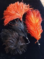 Ensemble De  4 Plumes Anciennes Pour Costumes, Robes Et Chapeaux
