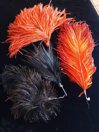 Ensemble 4 plumes - 4,