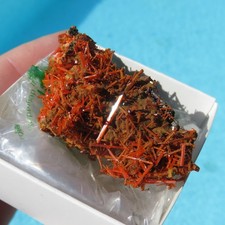 Minéraux *** CROCOITE ROUGE