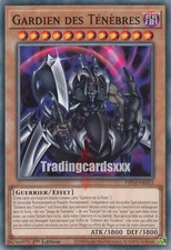 Yu-Gi-Oh! Gardien des Ténèbres : C PHNI-FR013