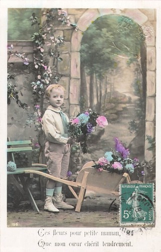 Ces fleurs pour maman - cp,