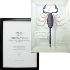 Voyage aux Arthropodes