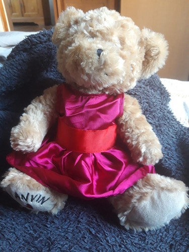 Peluche doudou ourse ours - doudou,