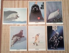 6 Carte postale Moebius Blachon Brugar Blondel Faye Lacroix  Greenpeace 1984 