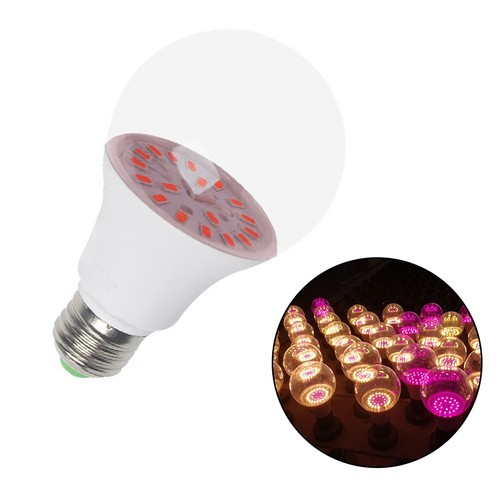 Ampoule culture led - de,