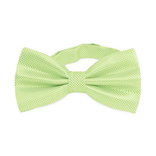 Noeud papillon élégant - , à