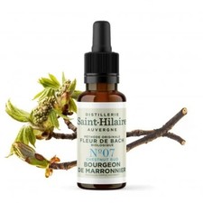Fleur de Bach bio n°7 -