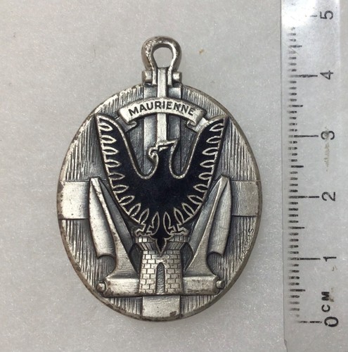 France marine insigne - france,