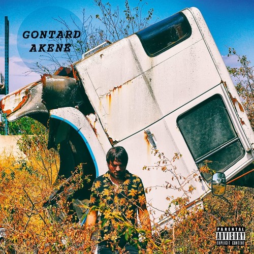 Gontard akene - gontard!,