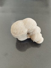 Gogotte, Essonne, France