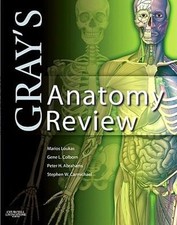 Gray's Anatomy Analyse Livre de Poche
