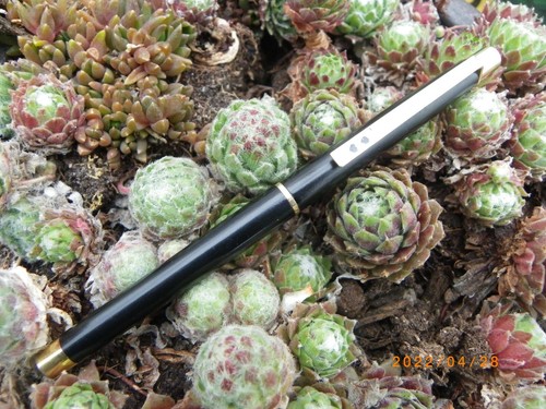 Stylo roller paper - mate, laque
