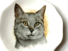 Assiette miniature porcelaine CHAT Gris Finsbury China Made in England 5,6cm !