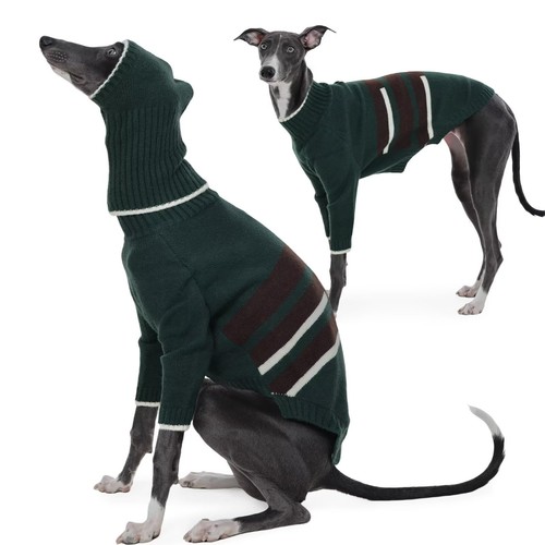 Vêtements pour lévrier avec