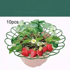 Support de fraises grimpant, 10 pièces, cadre de culture pour fraises en