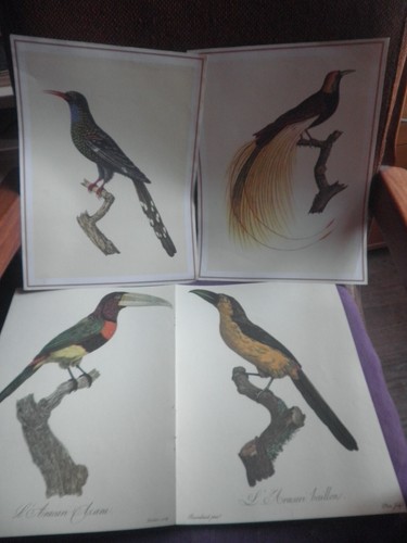 Gravures anglaises les - gravures, anglaises: