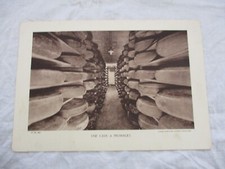 ANCIENNE PLANCHE CARTONNEE +-