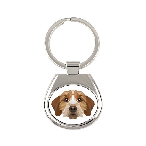 Basset breton - basset, fauve