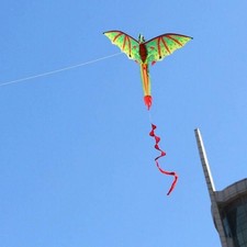 3D Cerf-Volant Dinosaure