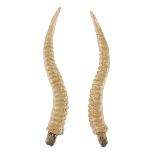 Corne antilope artificiel - d'antilope,