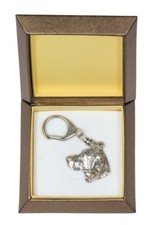 Vizsla, Braque Hongrois À