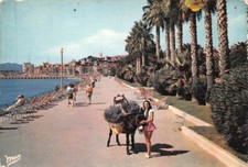 CANNES - Un coin du Jardin et le Suquet - Miss Funel et son âne
