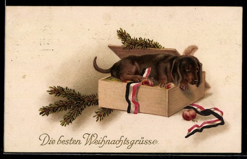 Carte postale chiot teckel - , en