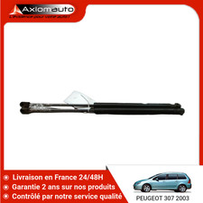 ?? VERIN HAYON G PEUGEOT 307 SW Phase 1 2002-2005 ➤8731F8 ♻️