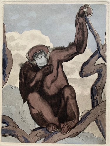 Paul jouve gravure animaliere - paul,