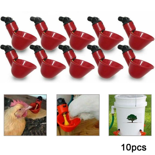 Mangeoire abreuvoir poulet