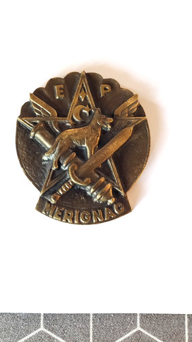 Plaque bronze insigne - bronze,