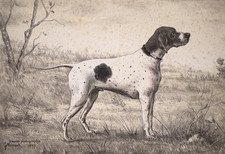 CHIEN Pointer LITHOGRAPHIE