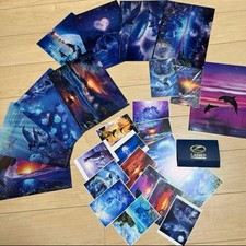 Ensemble lime et tapis de