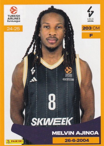 Panini 2024 euroleague - panini, 2024-25