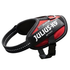 JULIUS K9 Harnais IDC Power ROUGE TAILLE 2XS - BABY 2 pour  chiens chien 2-5 KG