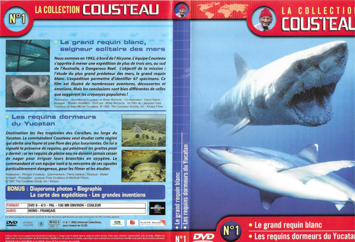 Grand requin blanc les - grand,