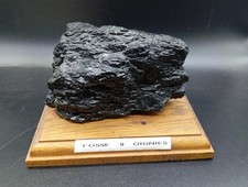 Ancienne Gaillette  de Charbon  Fosse 9 Commune De Oignies. Mineur  Mine Nord