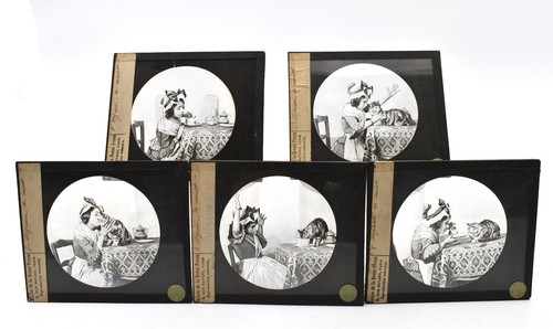 Cinq diapositives plaques