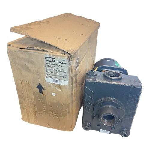 Amt pompe centrifuge 1kw - amt, 1,1kw