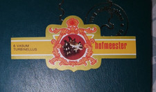 grande bague de cigare belle ancienne collection hofmeester coquillage