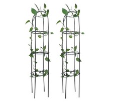 Jardin Arche Obelisks 2 Paquet