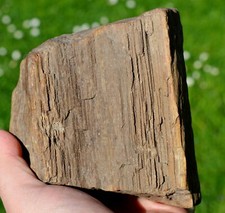 Bois fossile & Quartz 2040