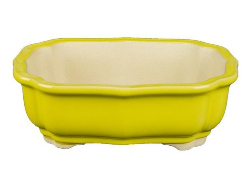 Pot bonsaï ovale grès - bonsaï,
