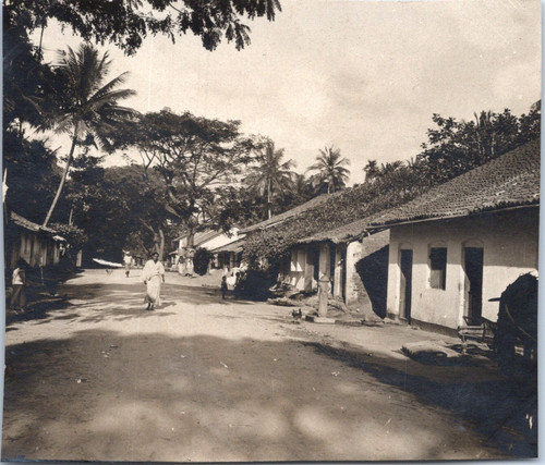 Ceylan kandy une - (sri, kandy,